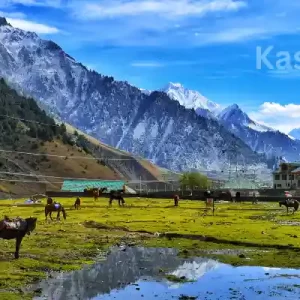 Kashmir 7 Nights | 8 Days