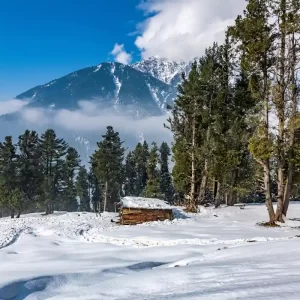 Kashmir