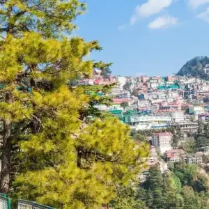 Simla Manali & Kasol 6 Night | 7 Days